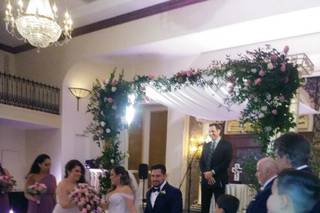David's bridals  - 8