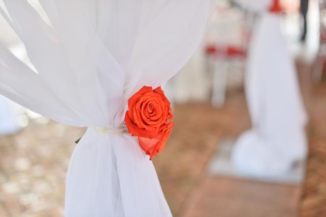 Carlos Barrios Photography. - 4