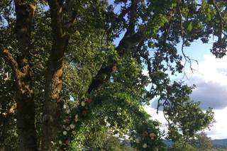 Beckoning Blooms - 26