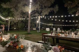 Weddings at Schnepf Farms - 70