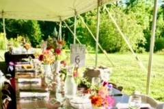 Mayfair Farm - 41