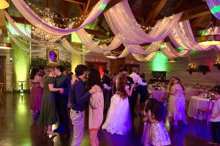 Roeshink Entertainment - 61