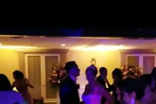 Divine Creations Entertainment - 12
