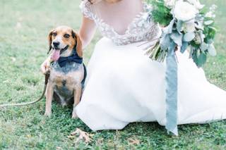 Madeleine Collins Photography - 35