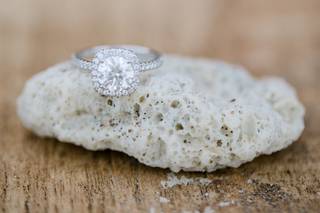 Andrea Harborne Photography - 26