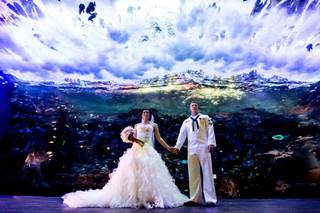 Christopher Brock Photography - 13