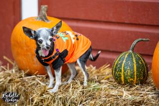 Rachelle Erickson Photography - 10