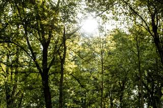 Laura Patrick Photography - 92