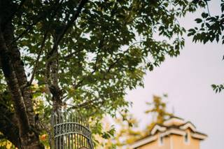 Like a Dream Weddings and Events - 31