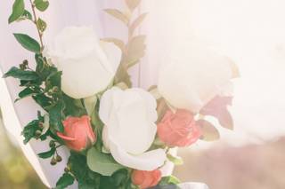 AJ Photography - 92