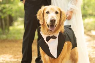 Elizabeth Page Photography - 24