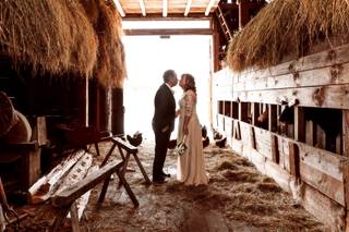 Debbie Segreve Photography - 14