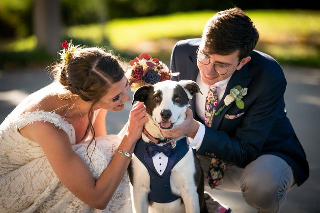 Vanessa Buholzer Photography - 3