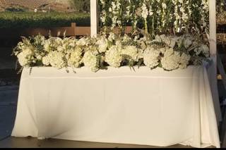 Draping Wedding - 133