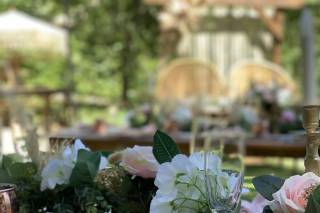 Touch Of Elegance - 21