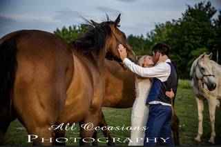 Birch Hill Catering - 43