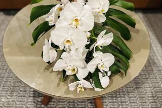 Vlady Flowers - 183