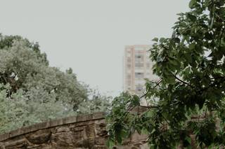Marilyn Lamanna Photography - 37