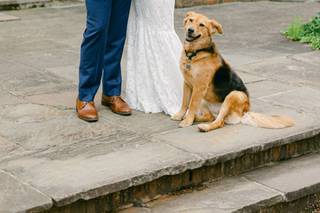 Tyler Phenes Photography - 38