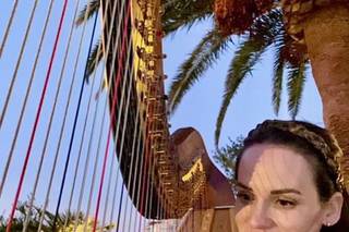 Modern Fairytale Wedding Harpist - 9