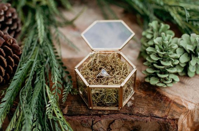 Jennifer Talesman Photography - 4