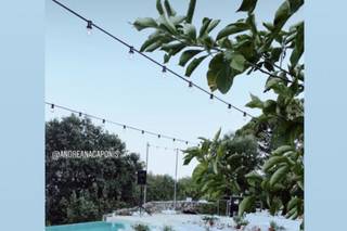 Corfu Wedding planner by Rosmarin Weddings - 103