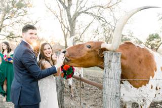 Harper Hill Ranch - 53