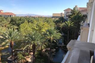 JW Marriott Las Vegas Resort & Spa - 53