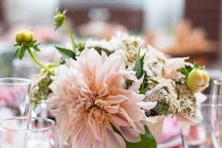 Jessica Eddington Photography - 8