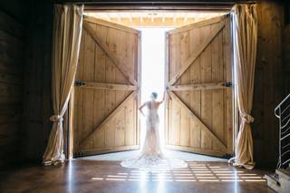 Mark Fierst Photography - 13
