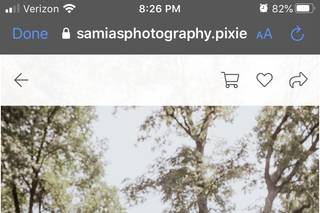 Samia's Studios - 74