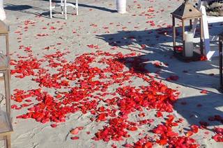 Sun and Sea Beach Weddings - 134