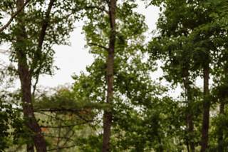 Rebecca Loomis Photography - 30