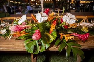 Fusion Floral ART - 50