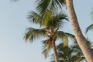 Pixit Photography - 6