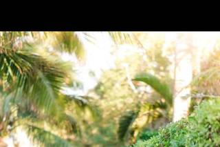 Whimsical Bliss Photography - 34