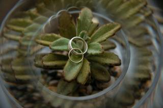 Prosecco Weddings and Events - 25