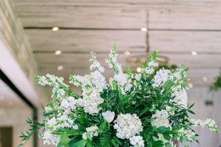 Frampton's Flowers - 17