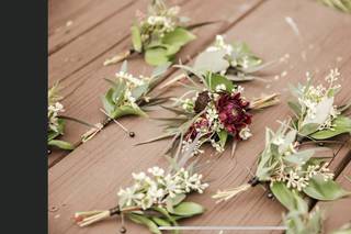 Stargazers Designs - 75