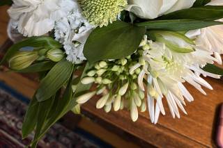 Gilly's Lilies - 12