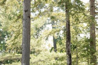 Caitlin Miller Photography - 31