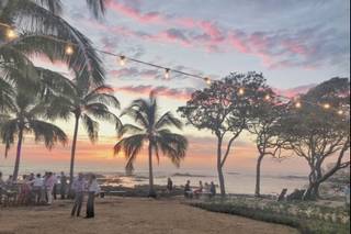 Tropical Occasions - 39