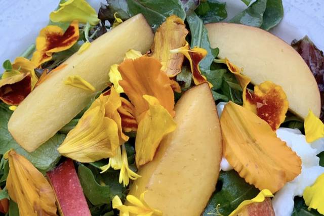 Farm to Table Catering 4