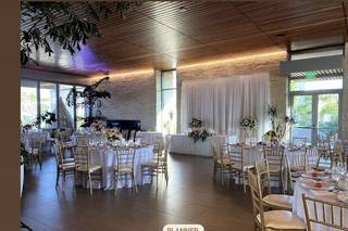 Mellie Bee Events - 12