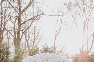 Dahlia Floral & Event Design - 93