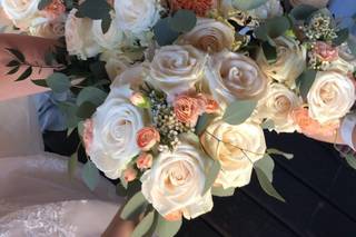 Sunshine Designs - 41