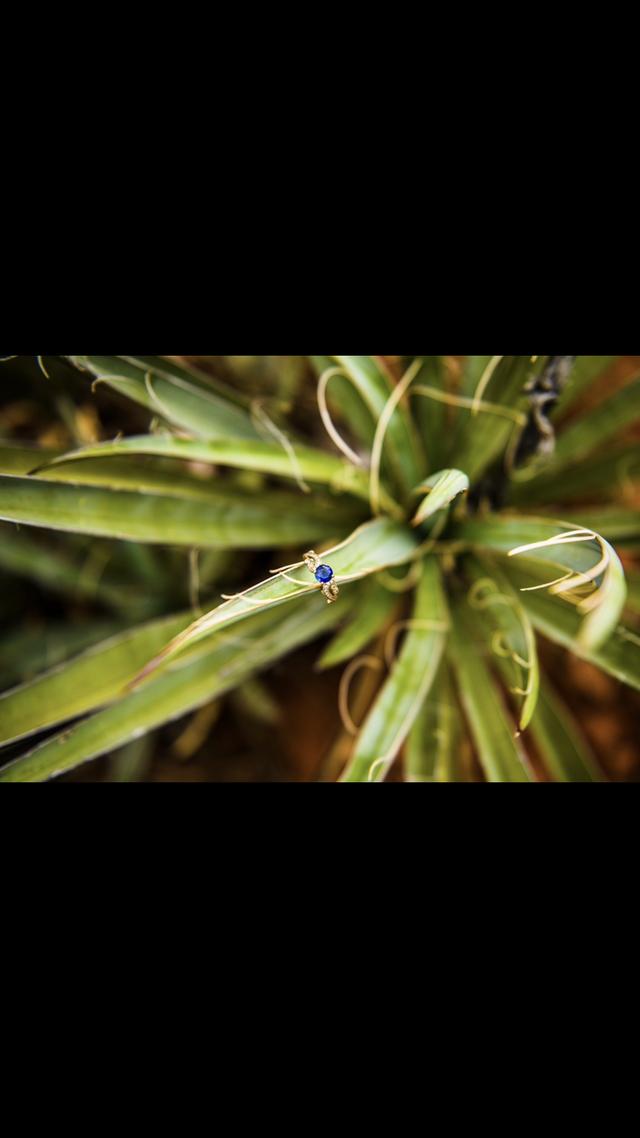 Julia Romano Photography - 2