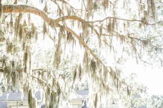 Sarah Anne Photography - 46