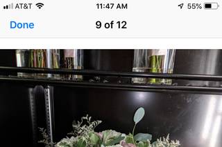 An English Garden Wedding & Event Florals - 138