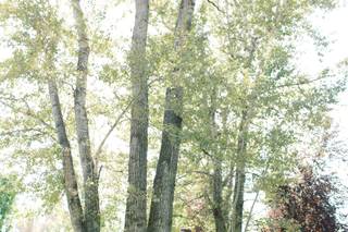 AVENUE ONE PHOTOGRAPHY - 8